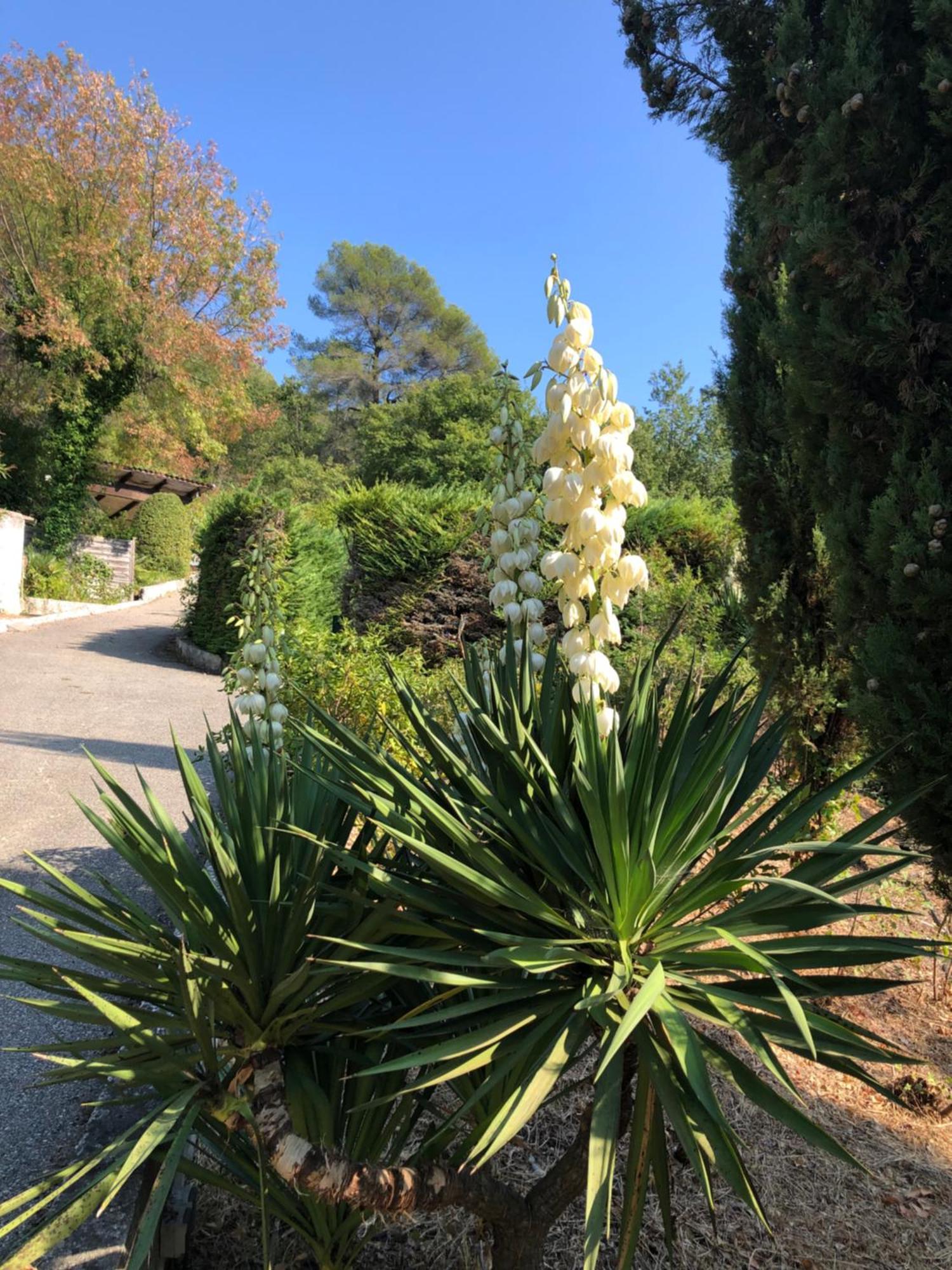 Willa Domaine Double D Cagnes-sur-Mer Zewnętrze zdjęcie
